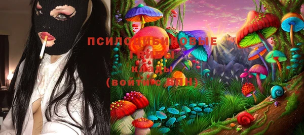 прущие крисы Армянск